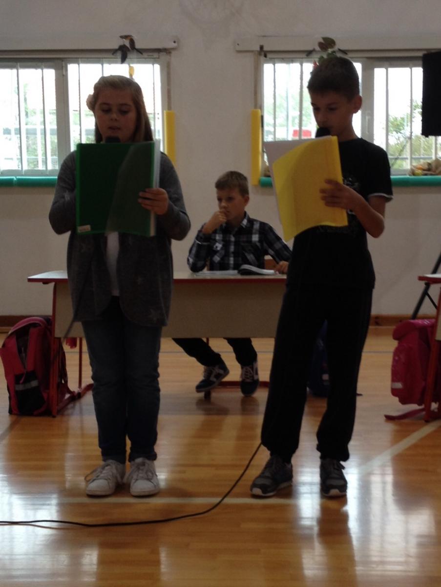 IMG-382ac8a6391b46d0758050dab7269df6-V