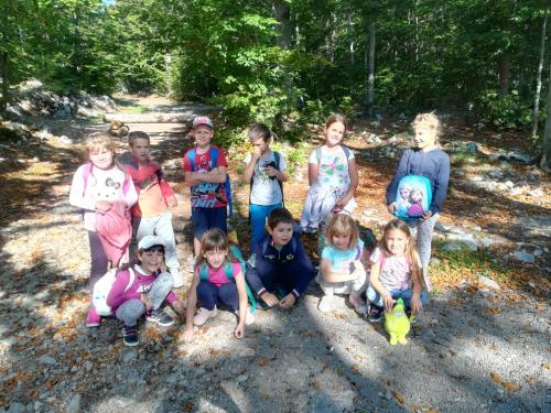 IMG_20180921_100624_resized_20180923_030229968